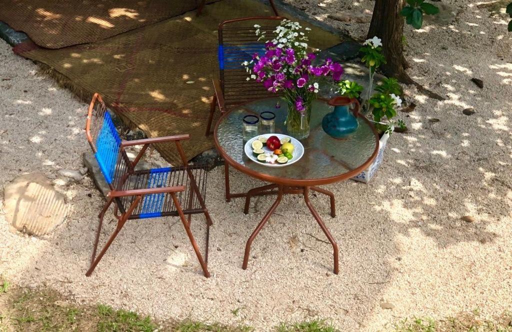 メリダ Casa "La 44" Bed & Breakfast エクステリア 写真